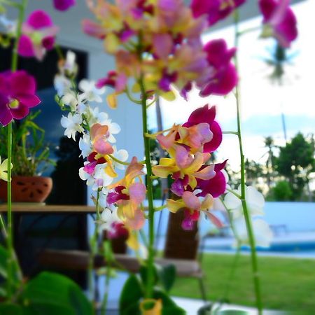 Mango Beach Resort Thailand Ban Huai Yang Extérieur photo